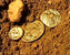 Gold Coins